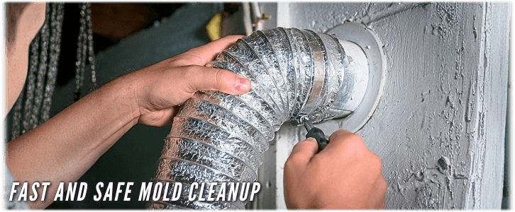 Air Duct Mold Removal in Manhattan